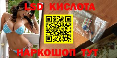 крисы Будённовск