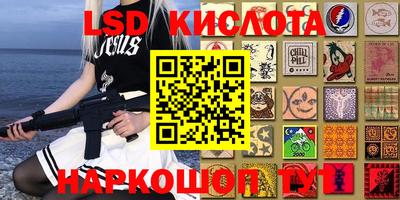 крисы Будённовск